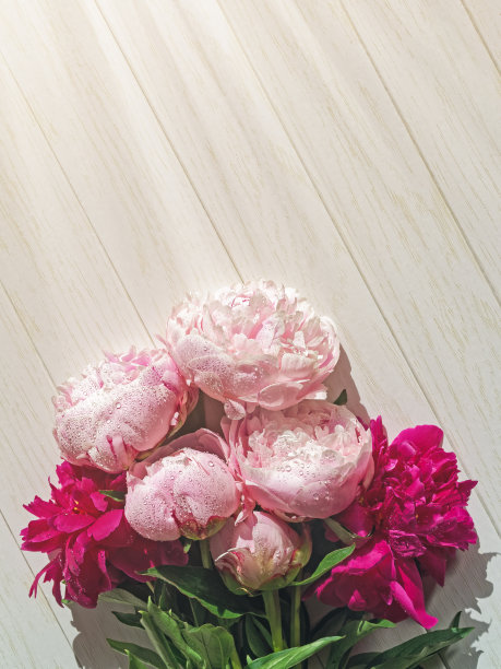 白色木质背景上放着一束牡丹。花组成。副本的空间。图片下载