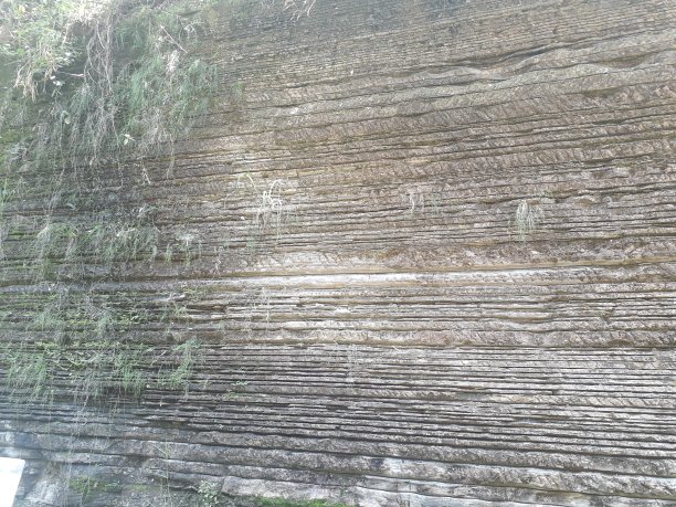 瓦尔维托图片下载