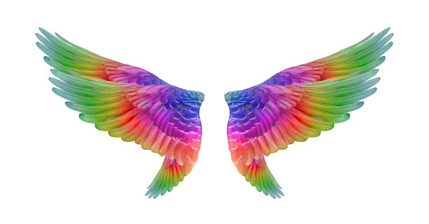 彩色的鸟风设置孤立的白色背景图片下载