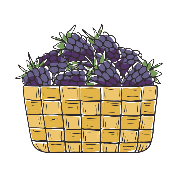 手绘的黑莓篮子图片下载