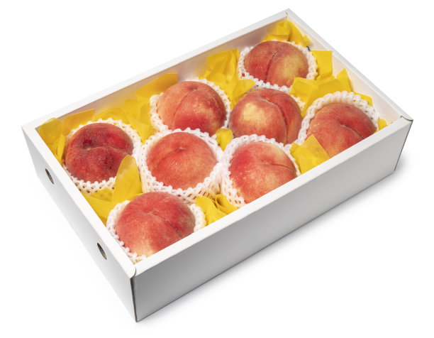 在包装准备出口的桃子水果孤立在白色背景，新鲜的白色桃子在白色背景的盒子图片下载