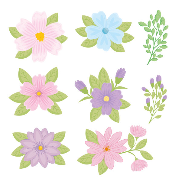 一套花颜色柔和，蓝色，粉红色，紫色和枝叶图片下载