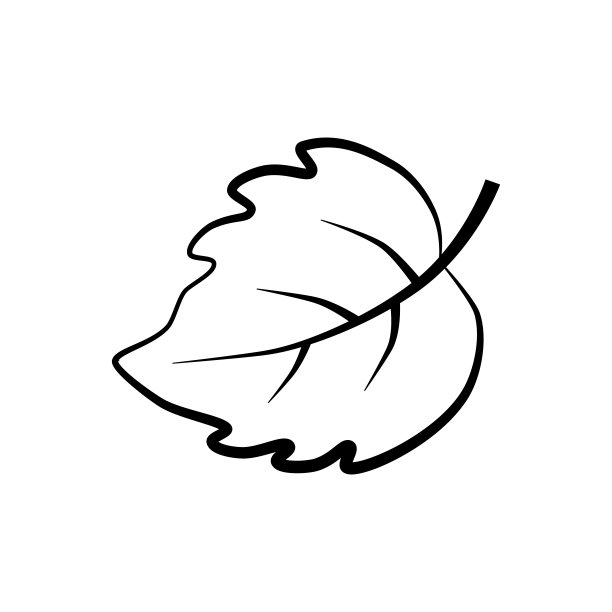 轮廓叶图标孤立在白色。涂鸦生态标志。手绘美术线。包叶。草图矢量股票插图。图片下载