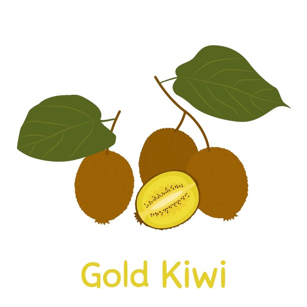 猕猴桃图片下载