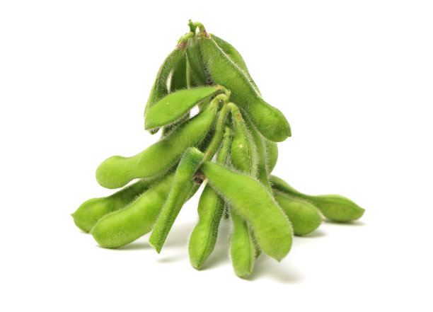 新鲜的大豆图片下载