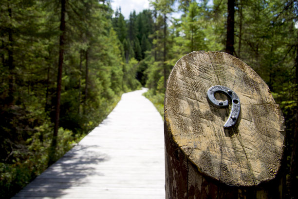 露营和夏令营的图片。图片下载