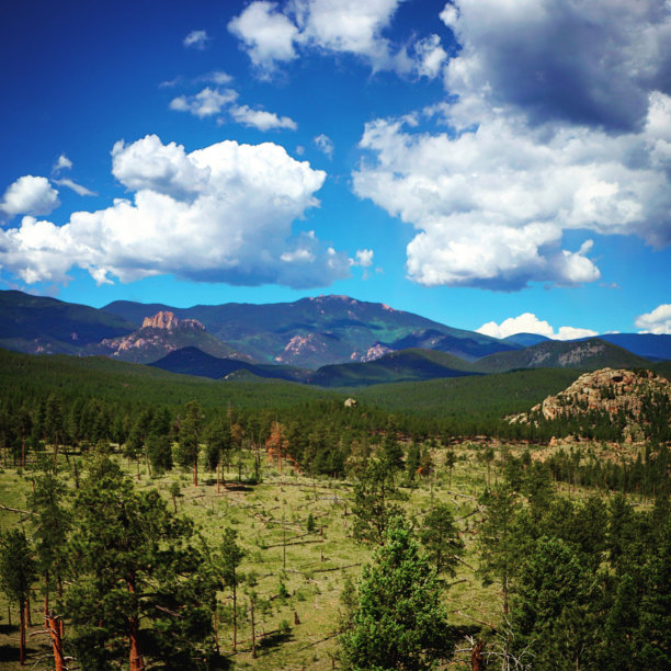夏天的一天图片下载