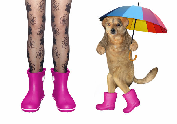穿着粉色胶靴的狗狗女孩图片下载
