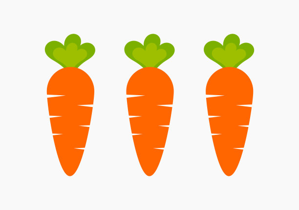 菜园里的三根健康胡萝卜。图片下载