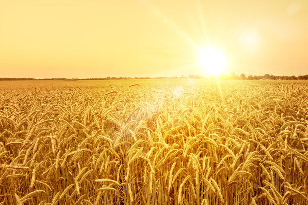 日出场图片下载