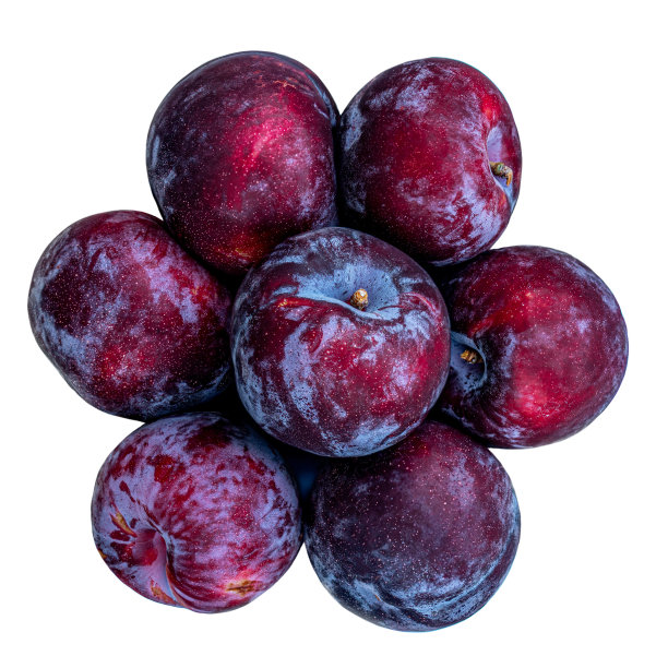 梅子果实孤立在白色背景上。新鲜的李子宏。俯视图图片下载