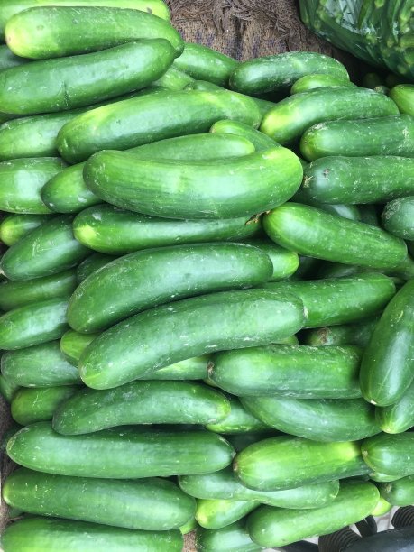 地上有黄瓜可以吃的蔬菜。市面上出售的绿黄瓜及新鲜水果。图片下载