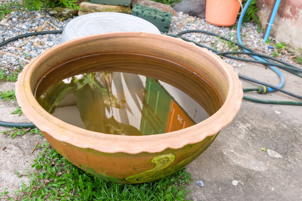 花园中陶土莲花盆中的水。图片下载