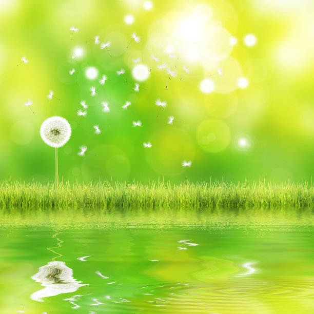 蓝天上的蒲公英花，羽毛飞舞。图片下载