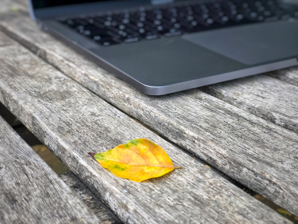 一张黄色的秋叶贴着一个笔记本放在木桌上图片下载