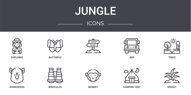 丛林概念线图标集。包含可用于web, logo, ui/ux的图标，如蝴蝶，吉普车，犀牛，猴子，露营帐篷，萌芽，树木，图片下载