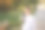 男学生早上去上学。快乐少年穿着白衬衫背着黑背包去学习图片下载