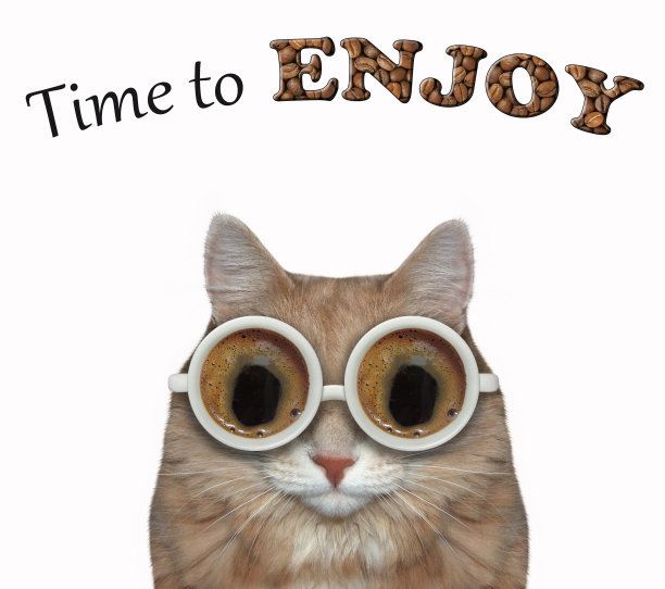 猫戴着咖啡眼镜图片下载