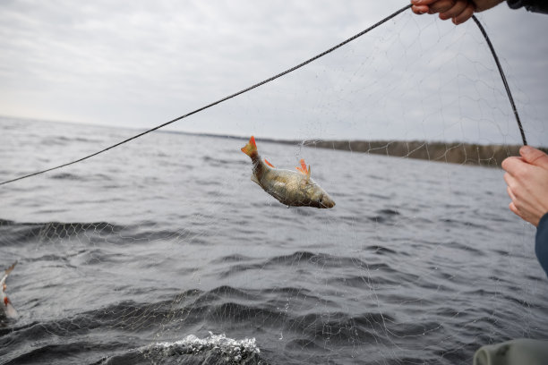用渔网捕鱼手的特写镜头图片下载
