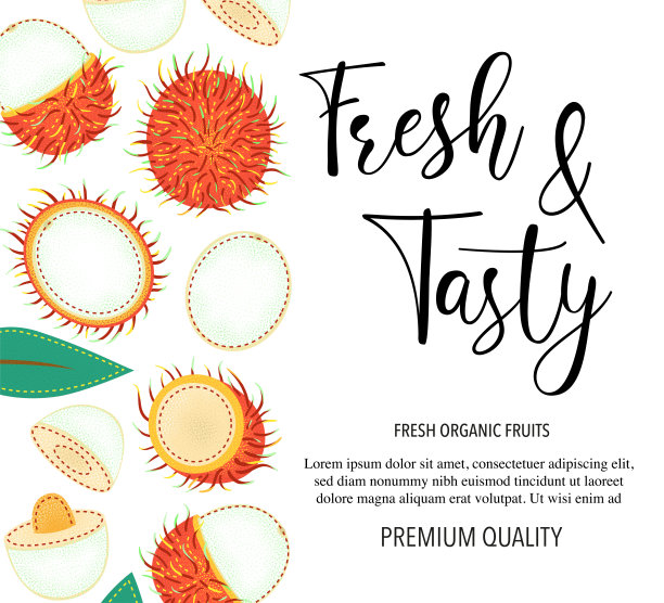 矢量背景红毛丹，整体和碎片。矢量股票插图孤立在白色背景。卡片设计与水果。产品信息和文字新鲜可口。图片下载