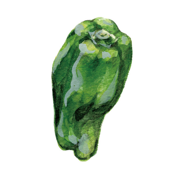 水彩画的青椒图片下载