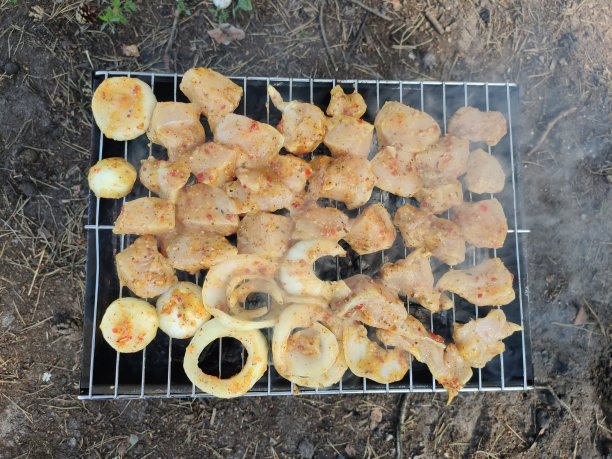 森林里烤肉架上的肉图片下载