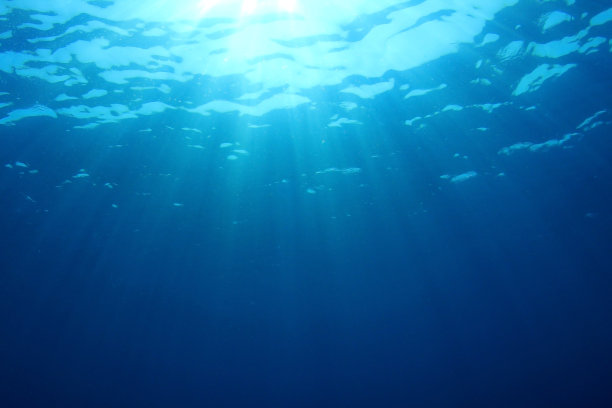 海洋水下背景图片下载