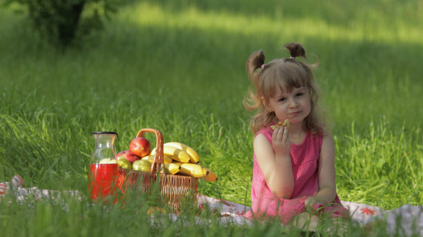 周末去野餐。白种小女孩带着装满水果的篮子在草地上。吃煎饼图片下载