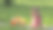 周末去野餐。白种小女孩带着装满水果的篮子在草地上。吃煎饼图片下载