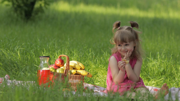 周末去野餐。白种小女孩带着装满水果的篮子在草地上。吃煎饼图片下载
