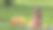 周末去野餐。白种小女孩带着装满水果的篮子在草地上。吃煎饼图片下载