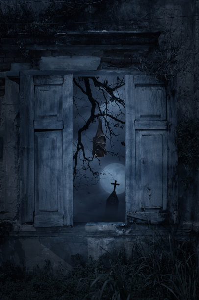 万圣节神秘概念图片下载