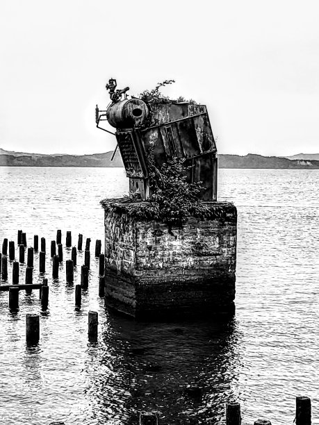 次被遗忘图片下载