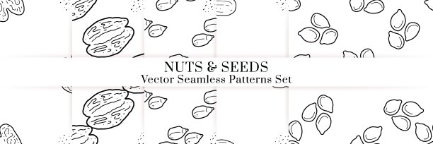 坚果和种子载体模式。草图设计图片下载