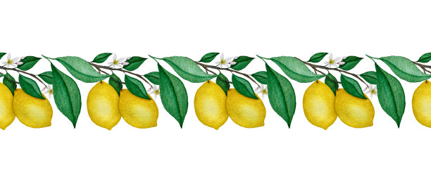 水彩柠檬枝无缝边框，装饰性柠檬果边框，美丽的热带柠檬果装饰，逼真的水彩水果插图图片下载