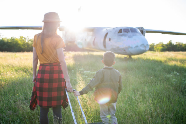 一位母亲和她的儿子在一架失事的飞机前的高草丛中提着一个手提箱图片下载