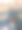 鹿的特写镜头图片下载