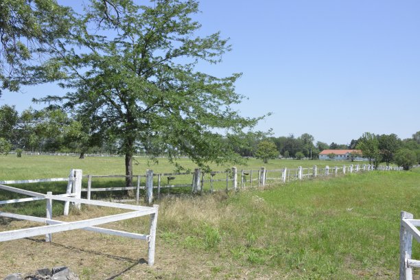 马厩附近用于训练马匹的宽敞畜栏图片下载