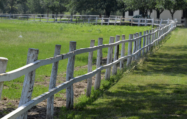 马厩附近用于训练马匹的宽敞畜栏图片下载