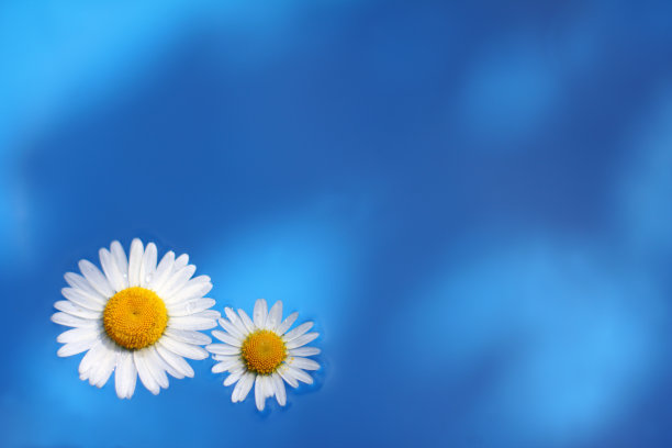 一起度过夏天图片下载