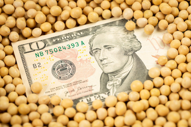 大豆覆盖美元，贸易战的概念。图片下载