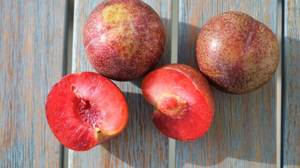 木质背景上的红梅图片下载