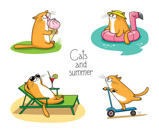 猫和夏天图片下载