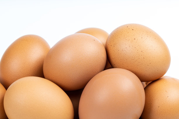 白色背景下的鸡蛋图片下载