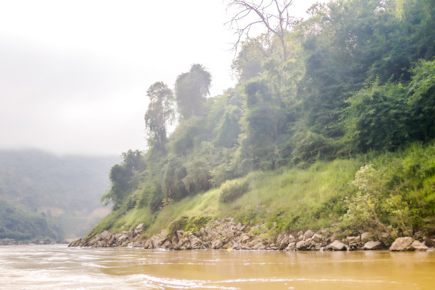 深湖森林，数码照片图片为背景图片下载