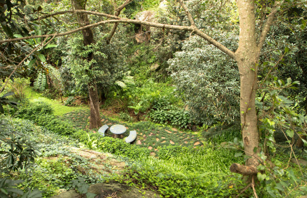 野生浪漫的花园，树下有野餐区图片下载