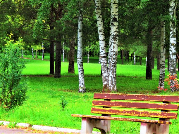 公园里孤独的长椅。图片下载