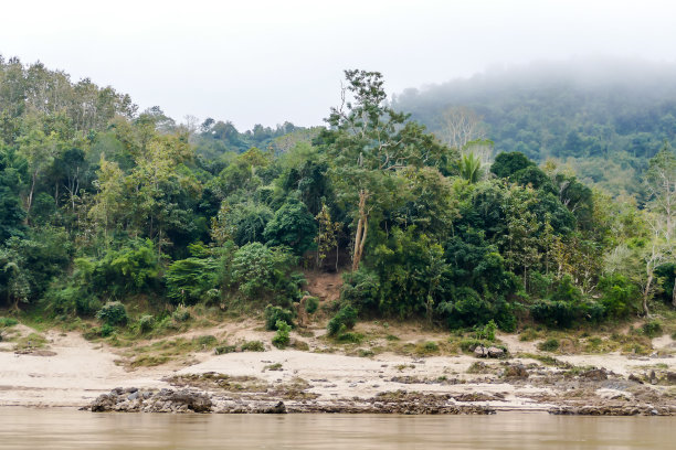 森林中的湖泊，以数码照片图片为背景图片下载