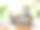 阁楼浴室植物书籍和旧浴缸图片下载