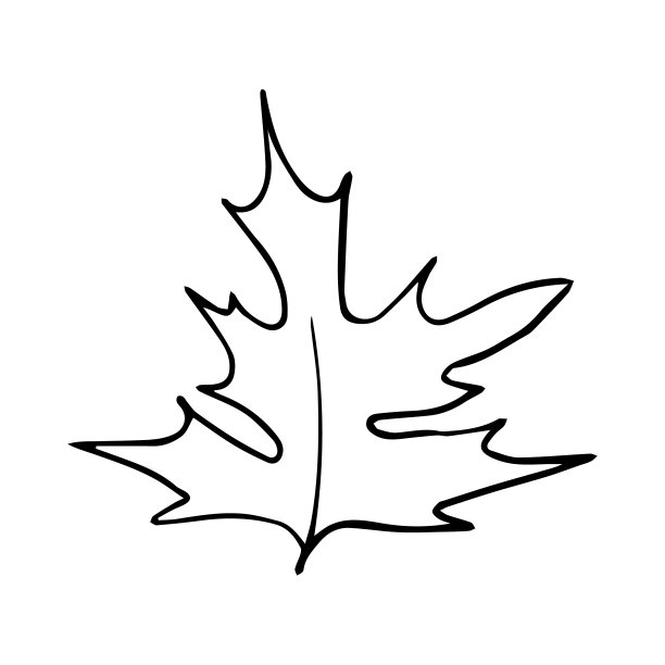 由手绘花环装饰的矢量插图。美丽的图形设计的卡片，邀请，横幅，海报图片下载